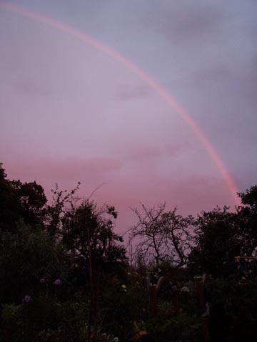 Garten mit Regenbogen