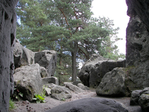Auf dem Kleinhennersdorfer Stein